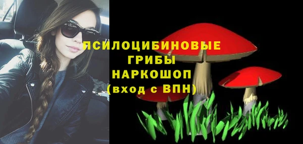 тгк Абинск