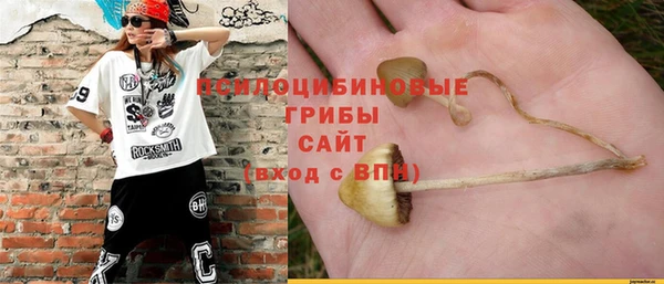 дурь Абдулино