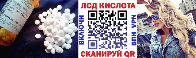 купить наркотик  Шенкурск  blacksprut зеркало  LSD-25 экстази кислота 