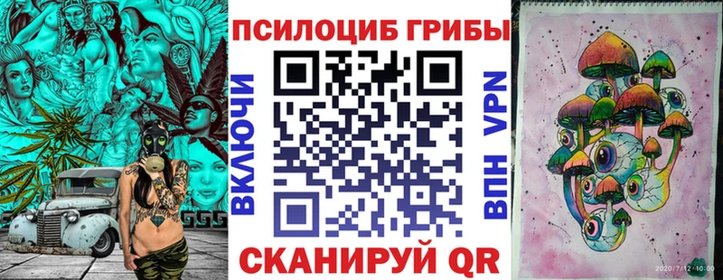 купить   darknet Telegram  Псилоцибиновые грибы Psilocybe  Шенкурск 